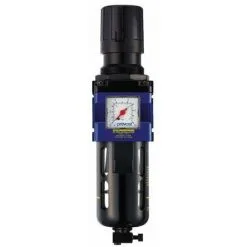 PREVOST Filtre Mano-regulateur Diam G1-2''